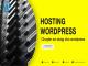 hosting-wordpress-01_1577699085.jpg