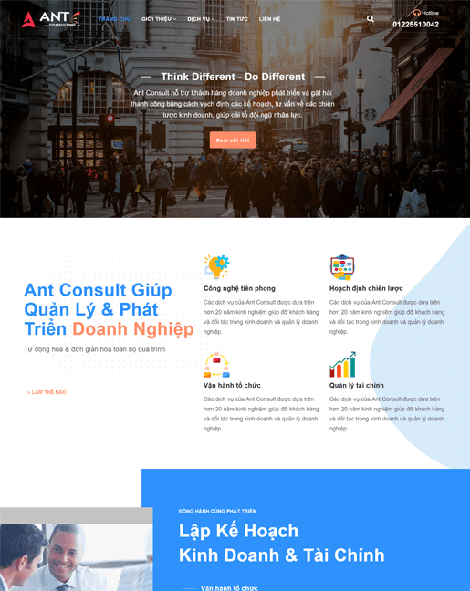 Ant Consult